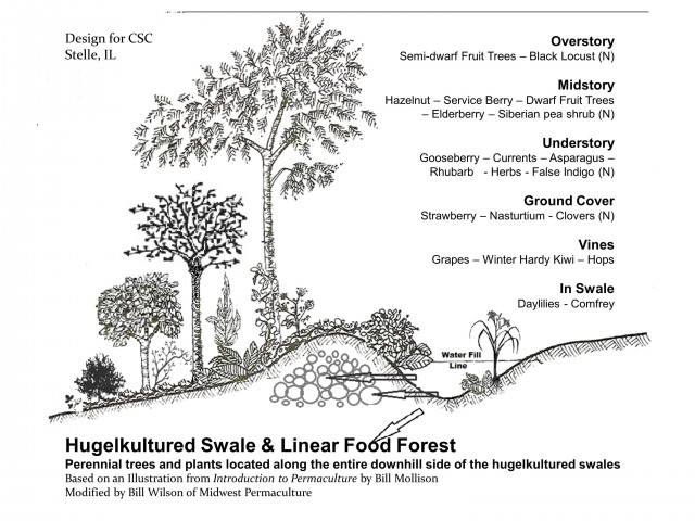 hugelculture swales permaculture sierra nevada california grass valley, ca