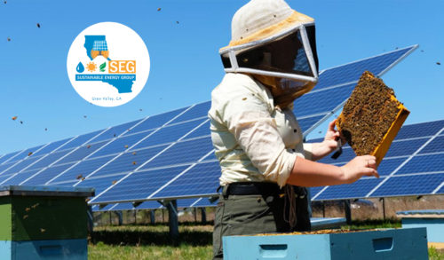 internship grass valley nevada city california solar sustainable energy