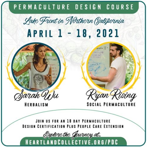 permaculture design course permaculture action now ryan rising california