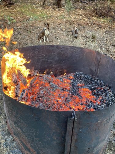 biochar burn barrel nevada county northern california