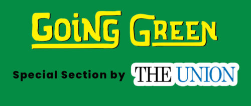 going green the union grass valley california newspaper sustainable