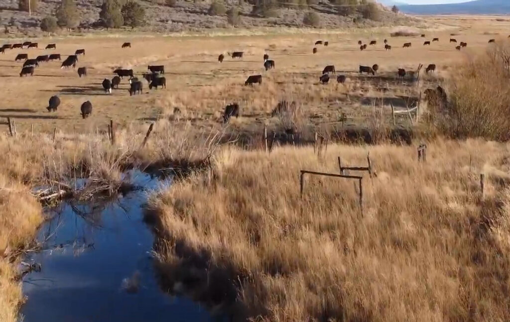 sustainable ranching solar northern california