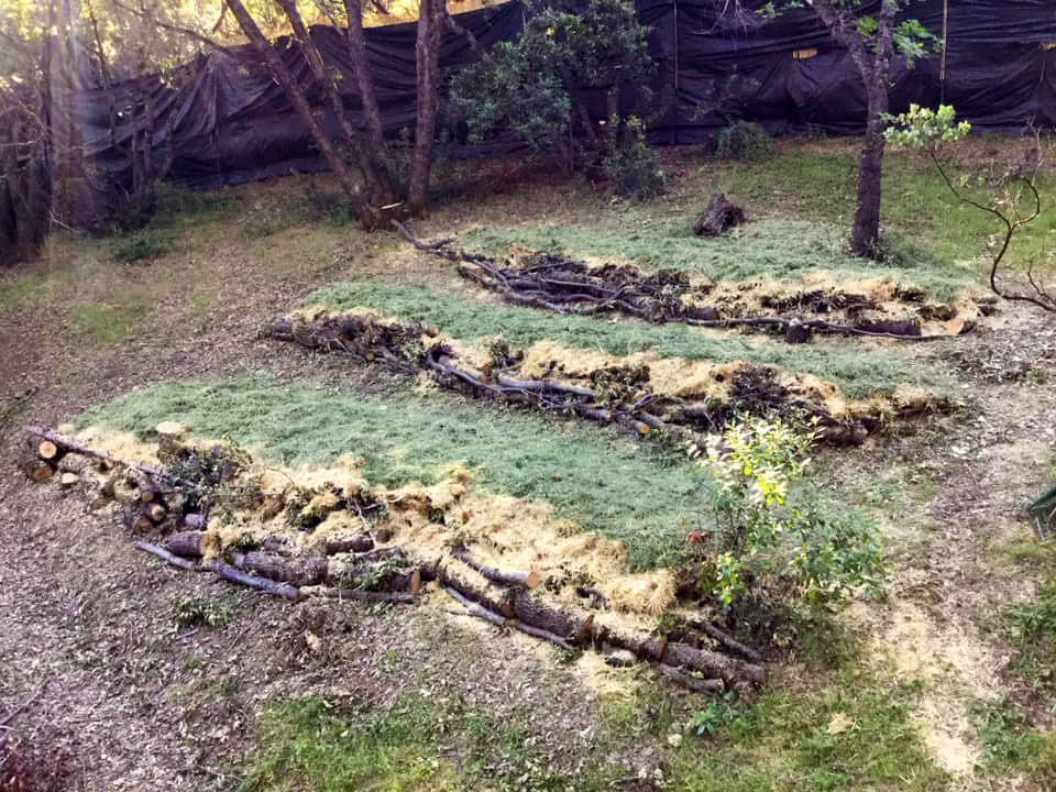 edible landscapes and hugelculture grass valley california ca