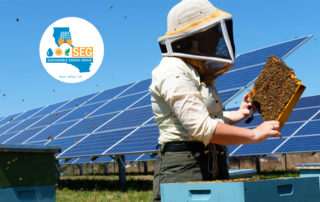 internship grass valley nevada city california solar sustainable energy