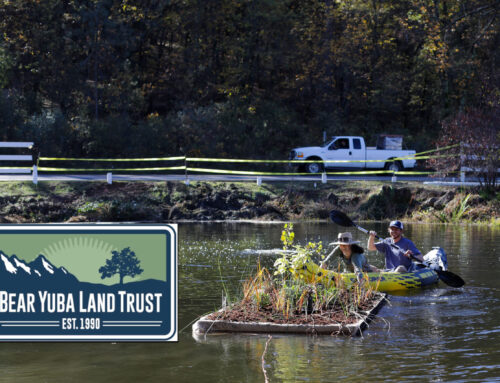 A floating island to promote riparian health