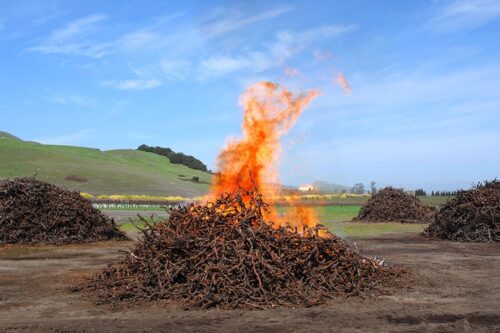 biochar fire pyre burn