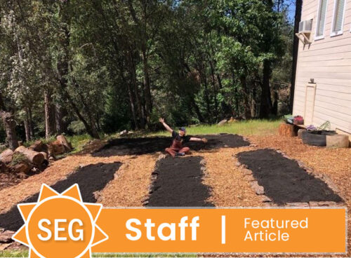 seg sustainable living staff feature