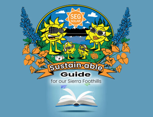 Sustainable Guide Entries