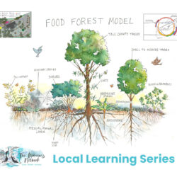 Fire safe food forests, are they possible in our area?