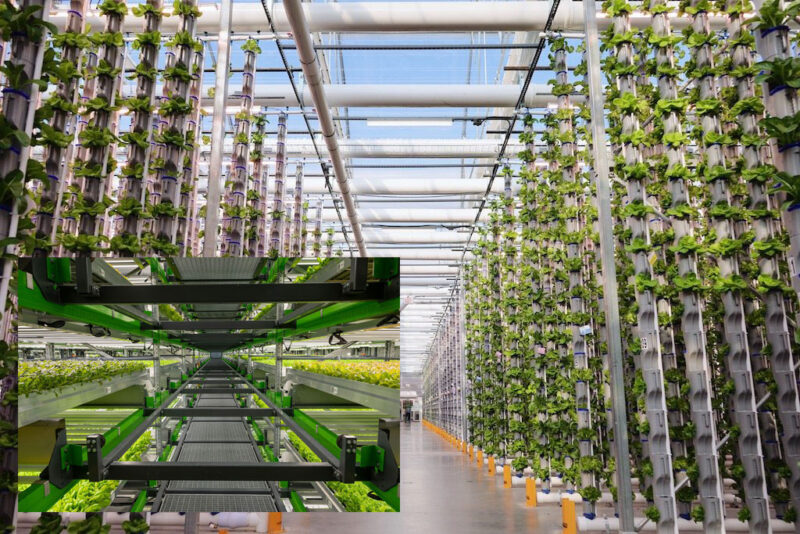 The Future of Farming Is Looking Vertical - Sustainable Energy Group